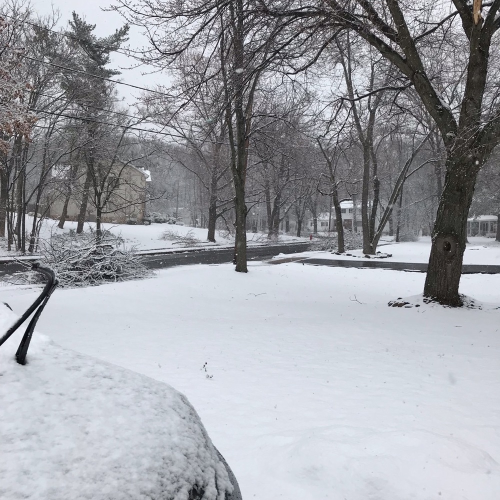 Meet your Posher, Lillian